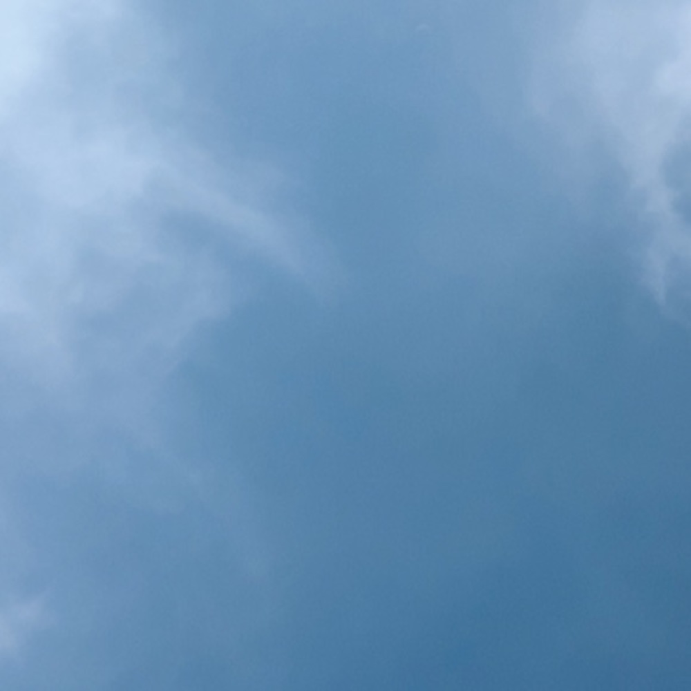 Meet your Posher, Bianca